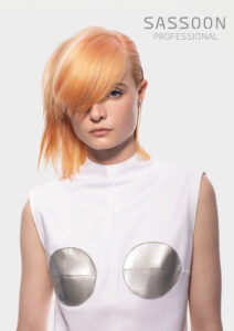 Sassoon Collection Image Picture